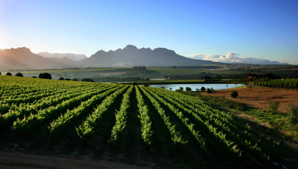 Stellenbosch e le Montagne del Drakenstein